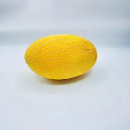 Jordanian Cantaloupe